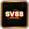 D0e951 favicon sv88.golf